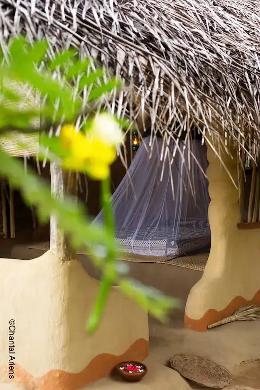 Single Hut photo 2