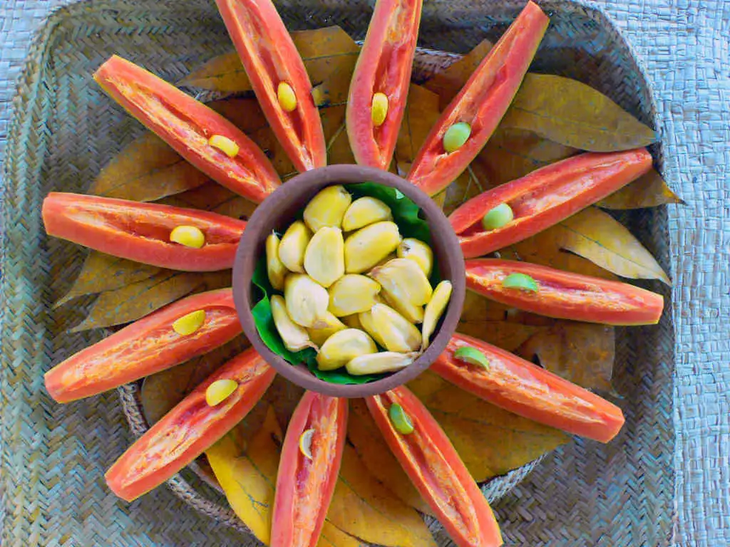 Organic Sri Lankan Village Food 4